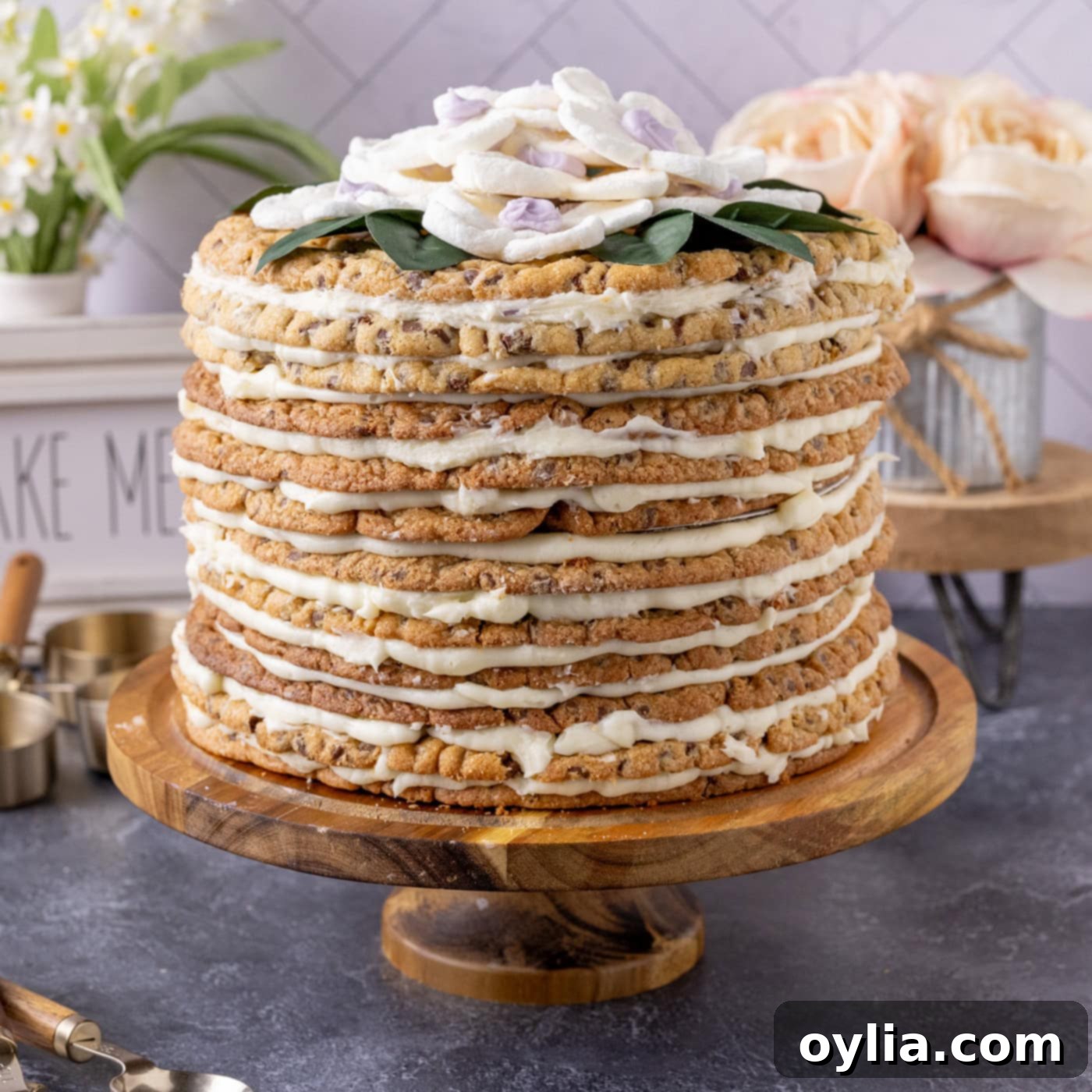 featured 100667