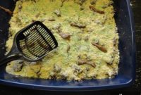 Kitty Litter Cake The Ultimate Halloween Gross Out