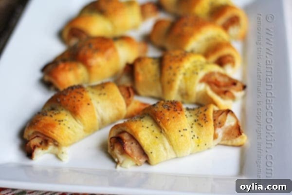 Close up photo of Turkey Pepper Jack Roll Ups, highlighting the golden crust and filling