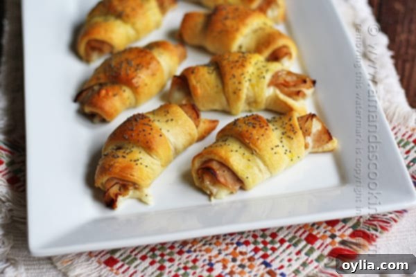 Turkey Pepper Jack Roll Ups appetizer with a generous poppyseed topping