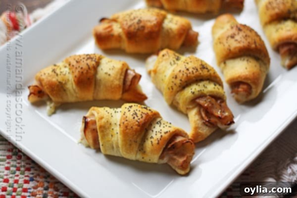 Turkey Pepper Jack Roll Ups arranged neatly on a white plate