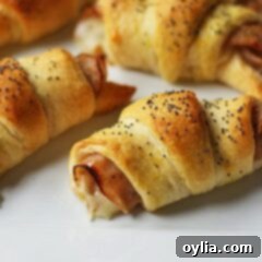 Turkey Pepper Jack Pinwheels 2 A close up of turkey pepper jack roll ups.