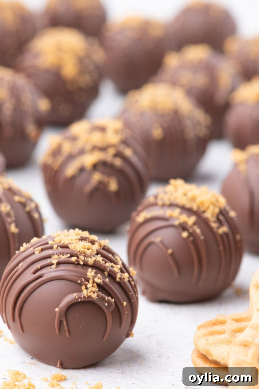 Close up photo of Nutter Butter Balls, showcasing their texture and chocolate coating.