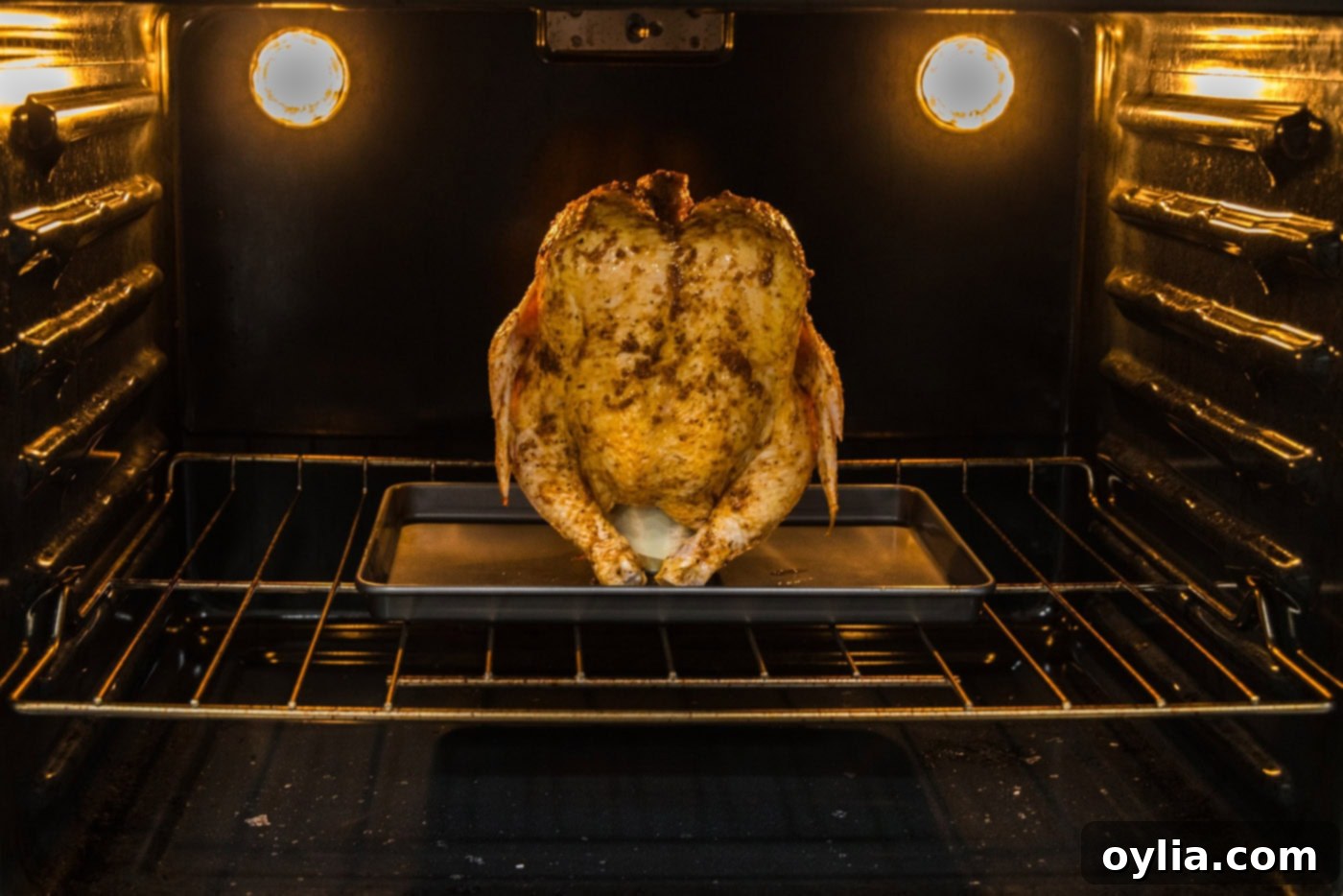 beer can chicken in the oven