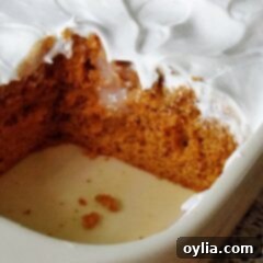 Pumpkin Pudding Infusion Cake 15 A close up photo of a pumpkin pudding poke cake in a baking dish with a square missing.