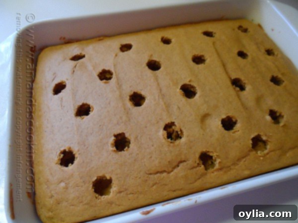 An overhead photo of pumpkin cake in a baking dish with holes.