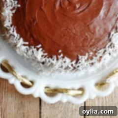 Snow-Dusted Almond Joy Coconut Cake 13 An overhead photo of an almond joy coconut snowflake cake resting on a white cake stand.