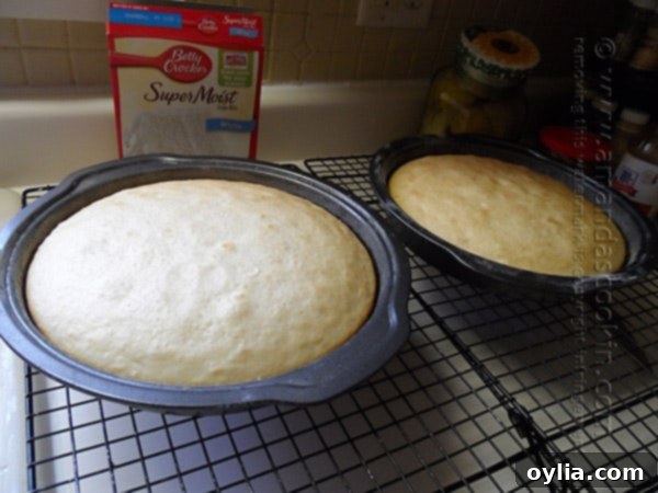 Two freshly baked cake layers cooling on a wire rack.