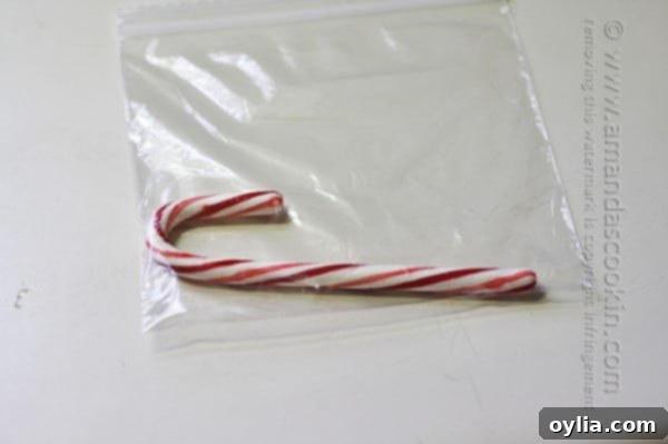 A photo of a candy cane in a clear bag.