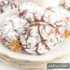chocolate snow cookies