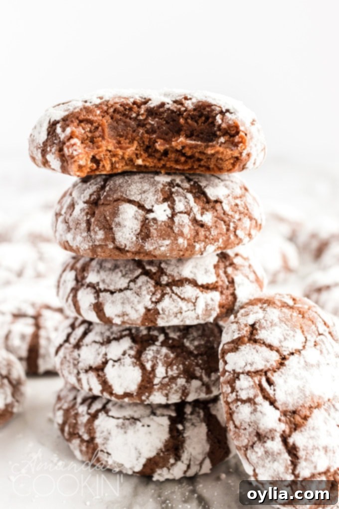 stack of chocolate snow cookies