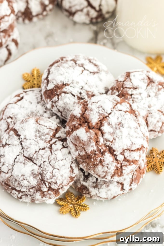 plate of chocolate crinkle cookies