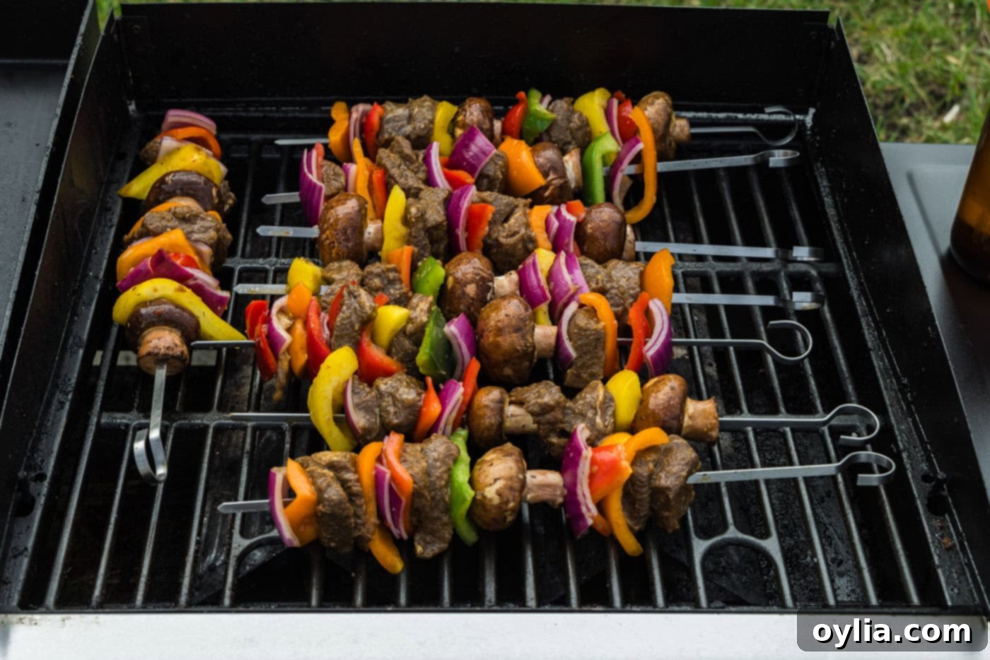 steak kabobs with vegetables on grill grates