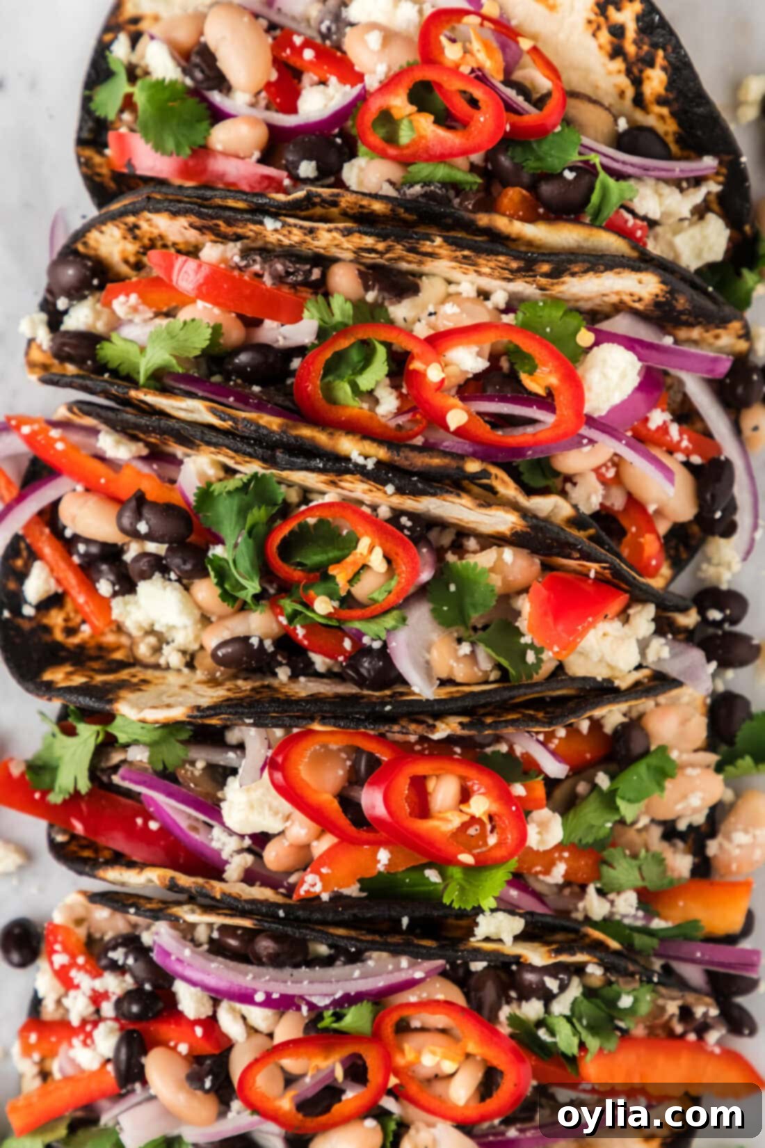 Close up photo of Vegetarian Tacos