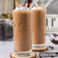 Spirited Iced Coffee 8 Two Spiked Iced Coffees topped with whipped cream and shaved chocolate