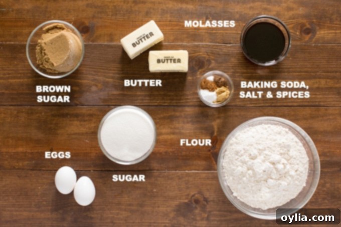 Various ingredients for gingersnap cookies laid out on a kitchen counter: flour, spices, sugars, butter, eggs, and molasses.