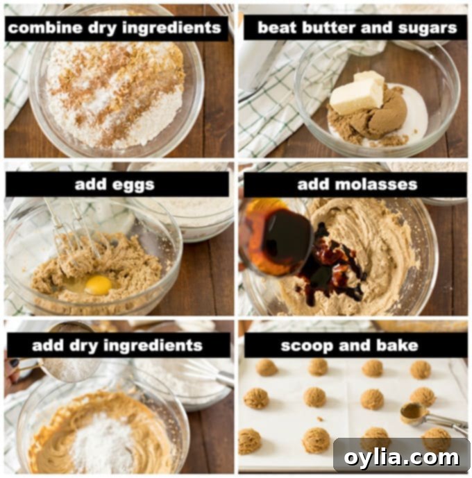 Illustrated step-by-step photos showing the process of making gingersnap cookies, from mixing ingredients to forming dough balls.