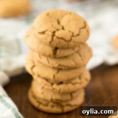 stack of gingersnap cookies