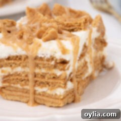 slice of nutter butter icebox cake with peanut butter drizzle on white plate