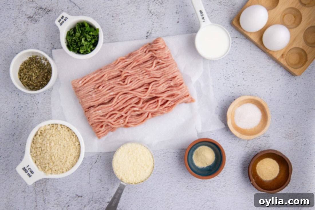 Ingredients for Chicken Meatballs