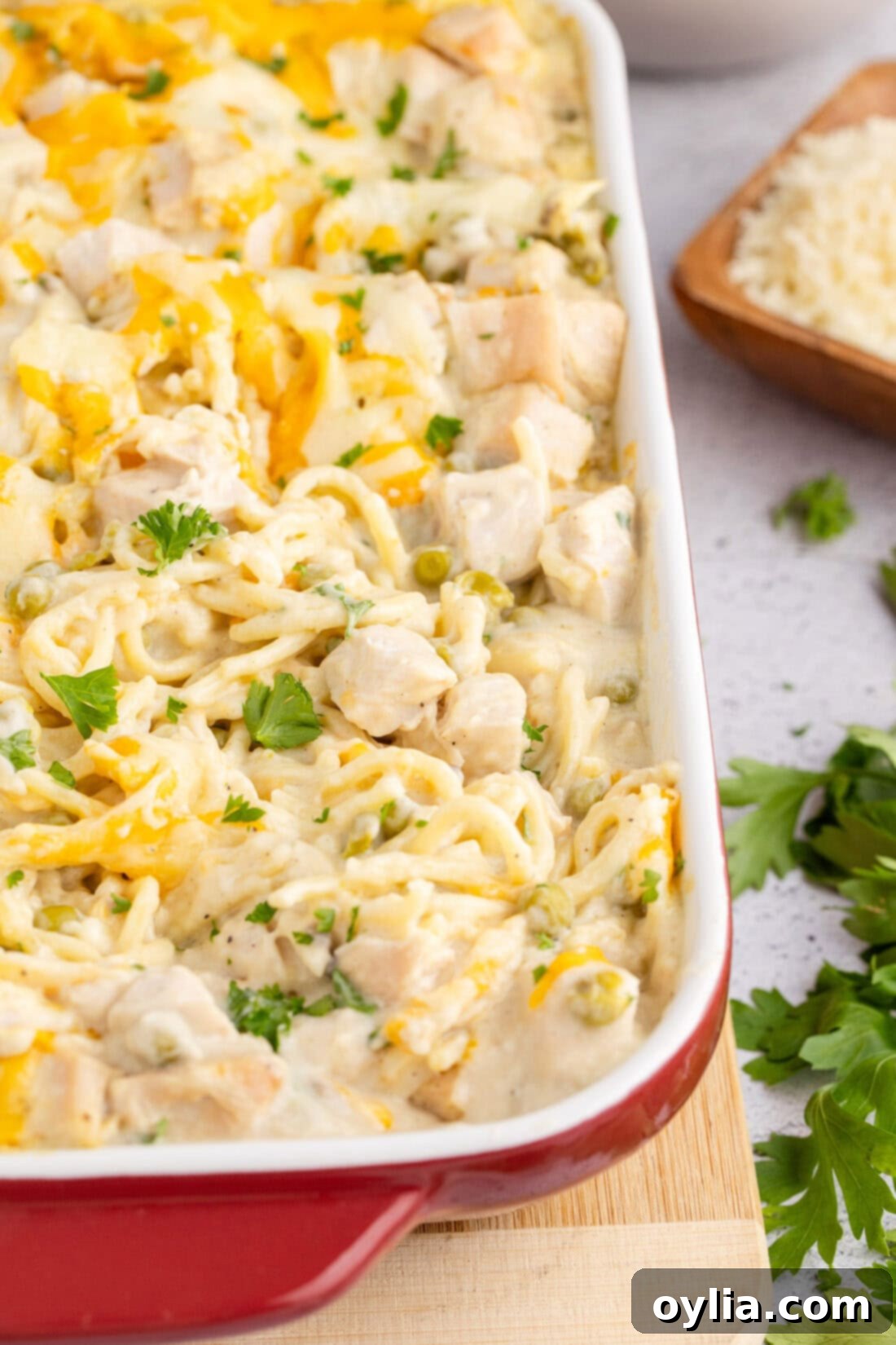 Turkey Tetrazzini 11 Close up shot of a bubbly, cheesy pan of Turkey Tetrazzini, freshly baked