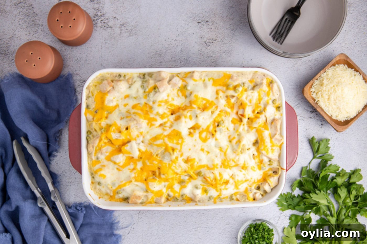 Turkey Tetrazzini 10 A freshly baked, cheesy turkey tetrazzini casserole in a dish, bubbly and golden brown