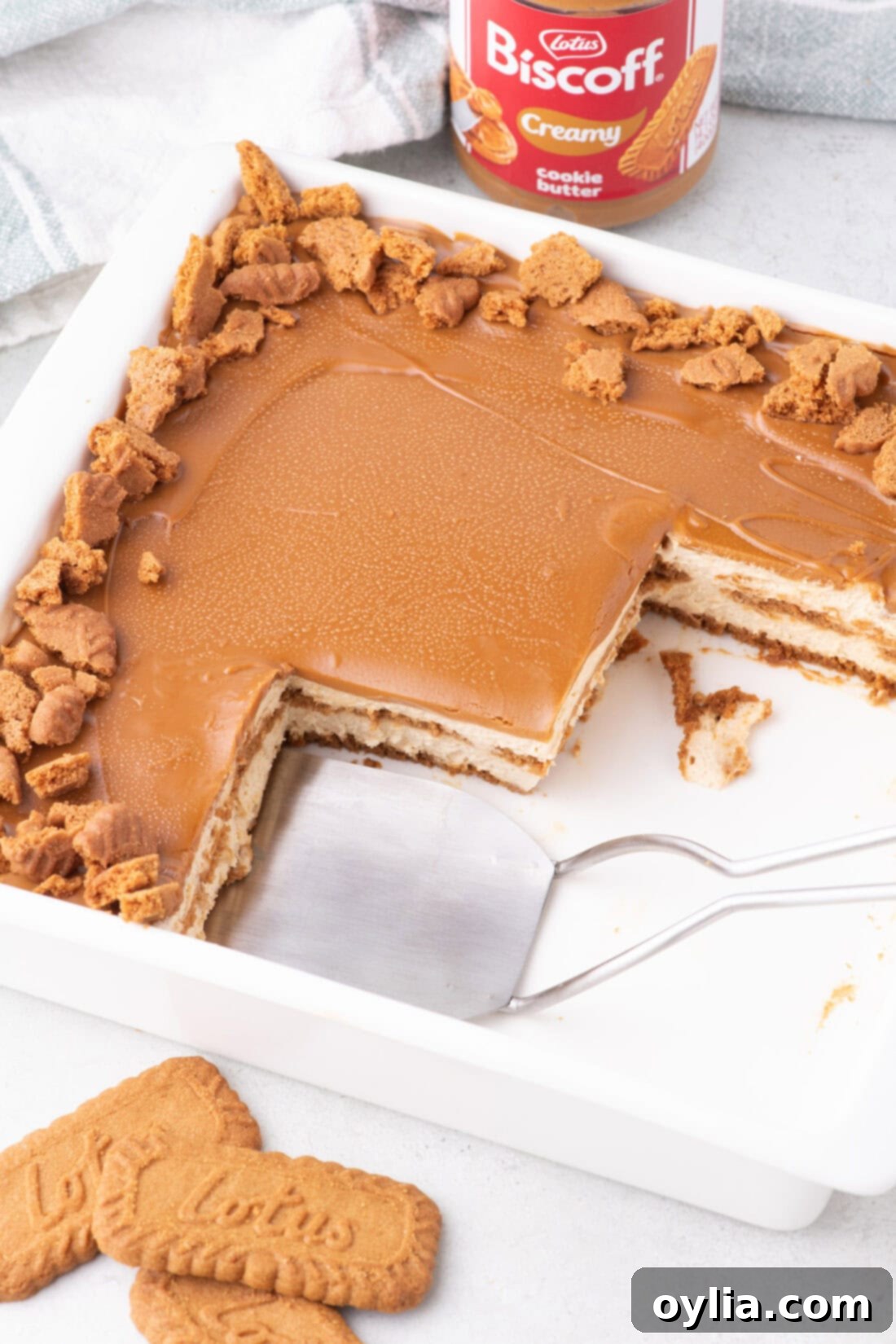 Overhead photo of a Biscoff Icebox Cake with slices removed