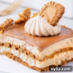 Slice of Biscoff Icebox Cake
