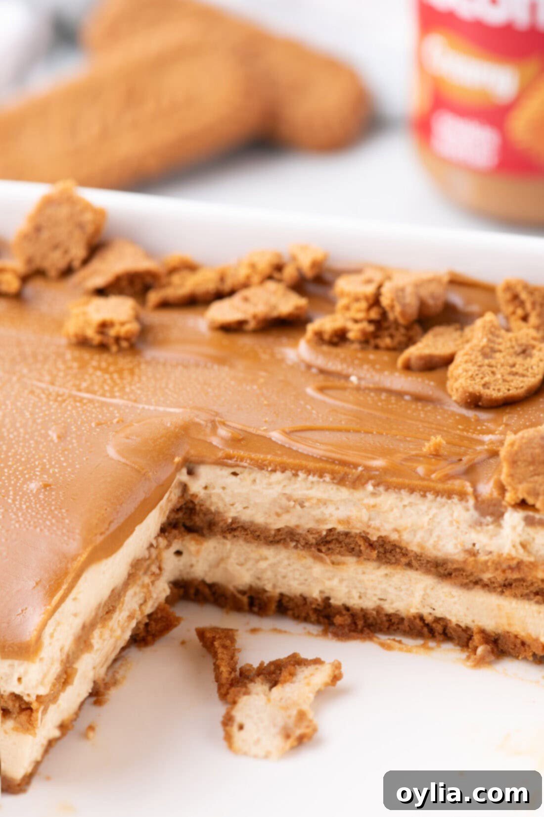 Side shot of a Biscoff Icebox Cake with slices removed