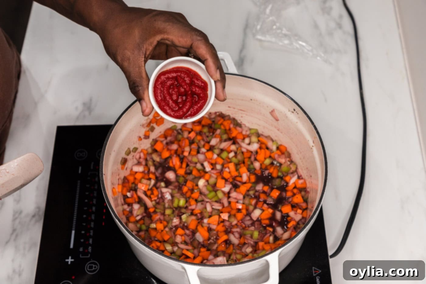 hand holding ketchup over a dutch oven of sautéing vegetables and red wine sauce base.