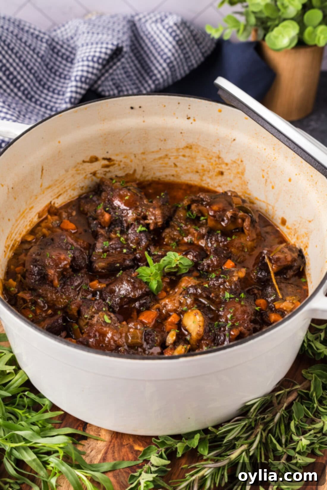 Tender Slow Braised Oxtail 10 Large pot of Red Wine Braised Oxtail simmering, showing the rich dark sauce.