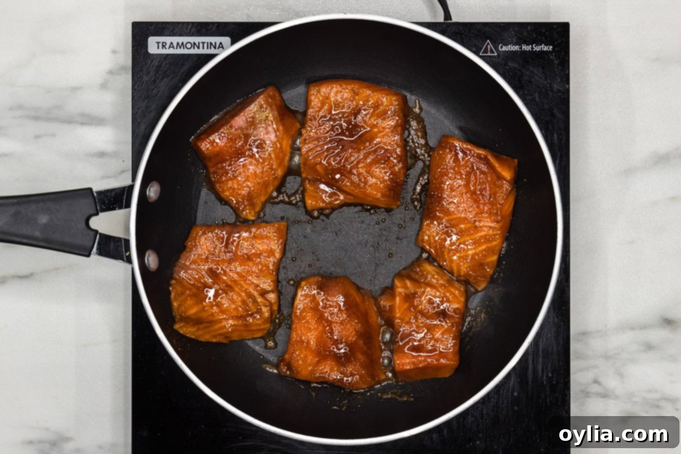 Gourmet Salmon Sliders 8 pan searing marinated salmon slices