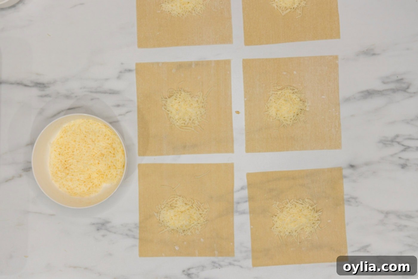 swiss cheese on egg roll wrappers