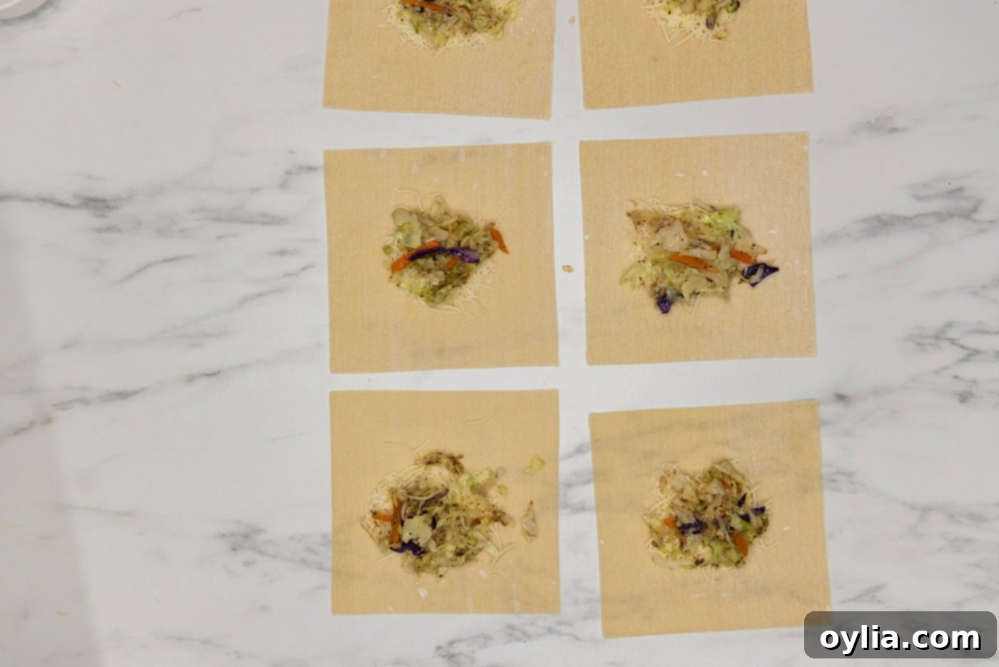 coleslaw on top of cheese in the center of egg roll wrappers