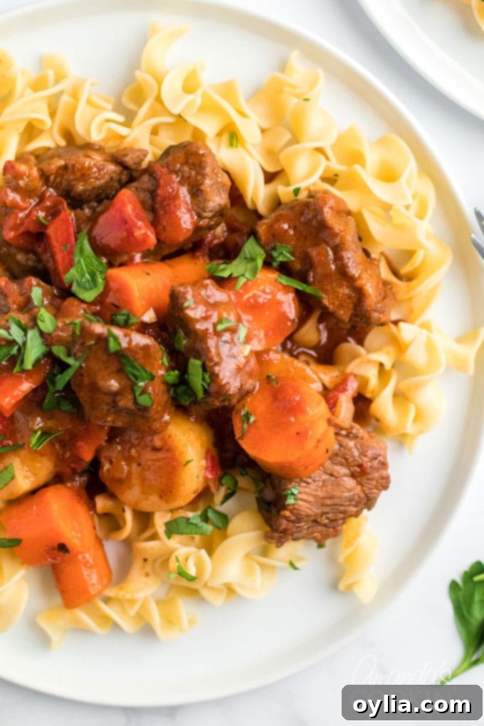 plate of hungarian goulash over egg noodles