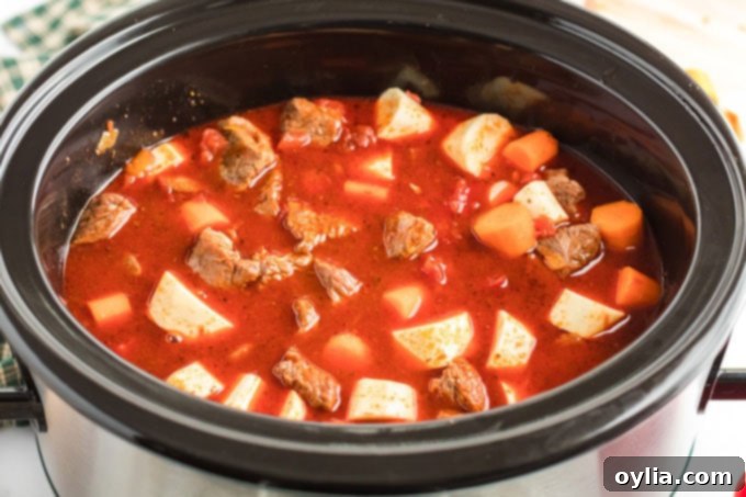 bef and vegetables in crockpot