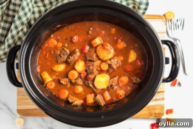 hungarian goulash in slow cooker