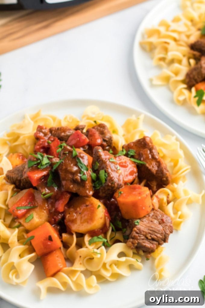 plate of Hungarian goulash over egg noodles