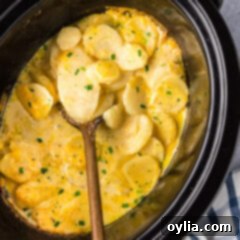 Creamy Slow Cooker Scalloped Potatoes 15 Close up photo of a spoon in a Crockpot full of scalloped potatoes