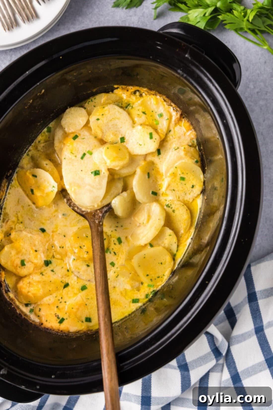 Creamy Slow Cooker Scalloped Potatoes 3 Spoon in a Crockpot of scalloped potatoes