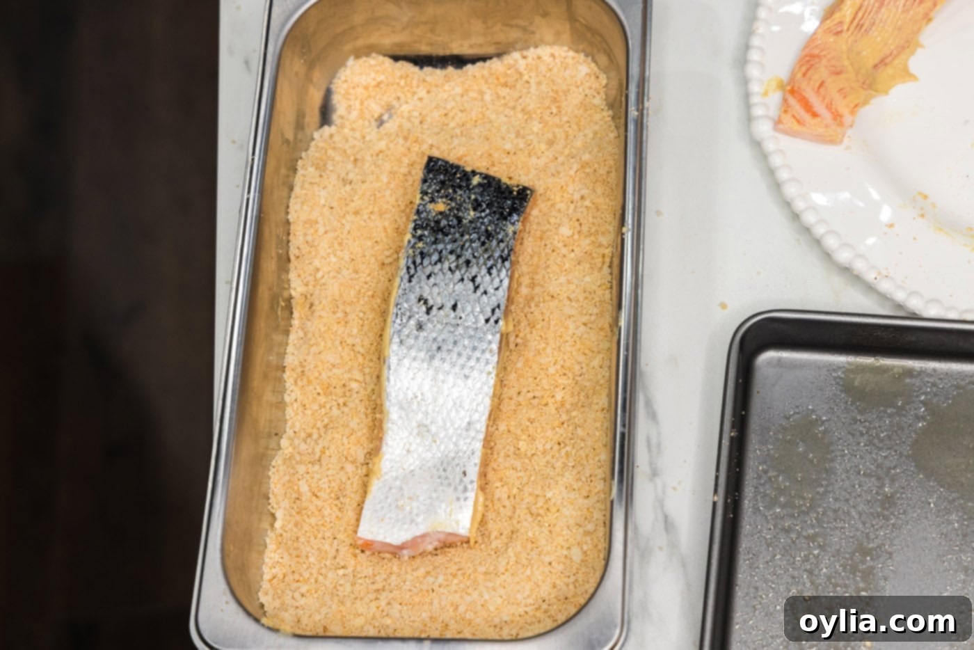 Salmon filets flesh side down in a breading tray or breadcrumbs