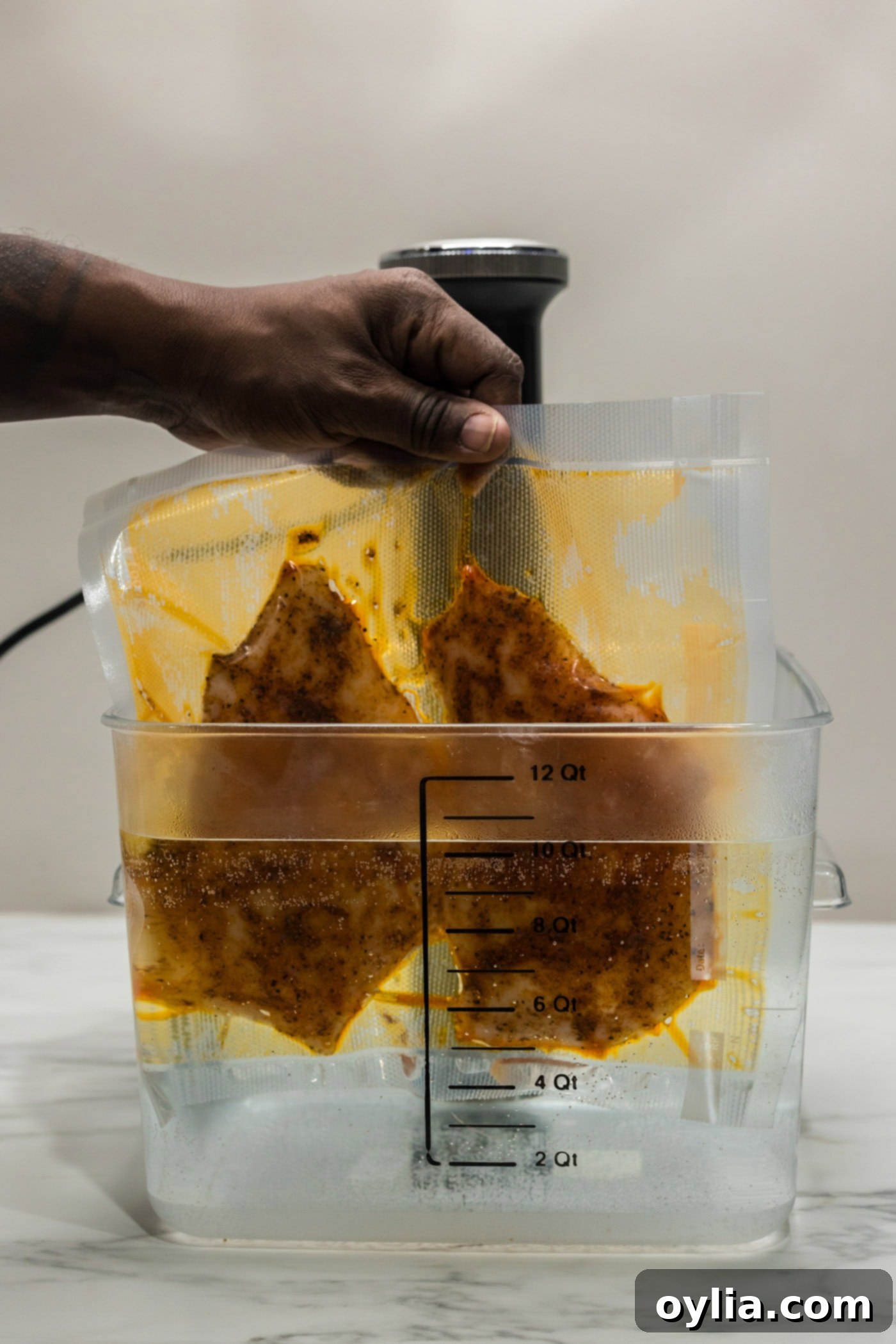 A hand carefully placing a vacuum-sealed bag of seasoned chicken into a sous vide water cooker