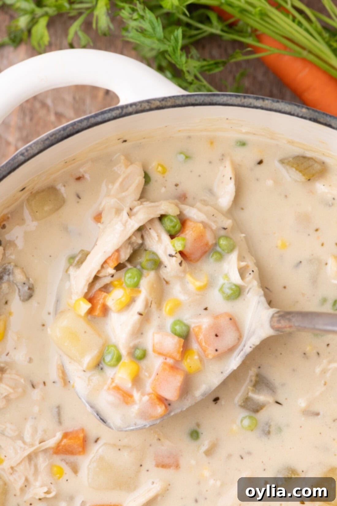 A serving ladle resting in a pot of freshly made chicken pot pie soup, showcasing its rich texture and delicious ingredients.