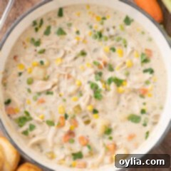 Close up photo of a pot of Chicken Pot Pie Soup, showcasing its rich, creamy texture and generous vegetable and chicken content.