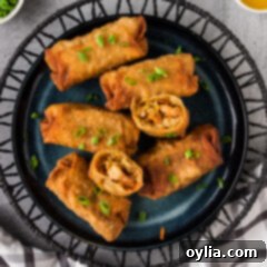 Close up photo of a plate of Crispy Shrimp Egg Rolls