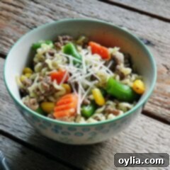 Quick Beef and Ramen Skillet 4 A photo of ramen noodle and beef skillet in a blue and white bowl, featured as the recipe thumbnail.