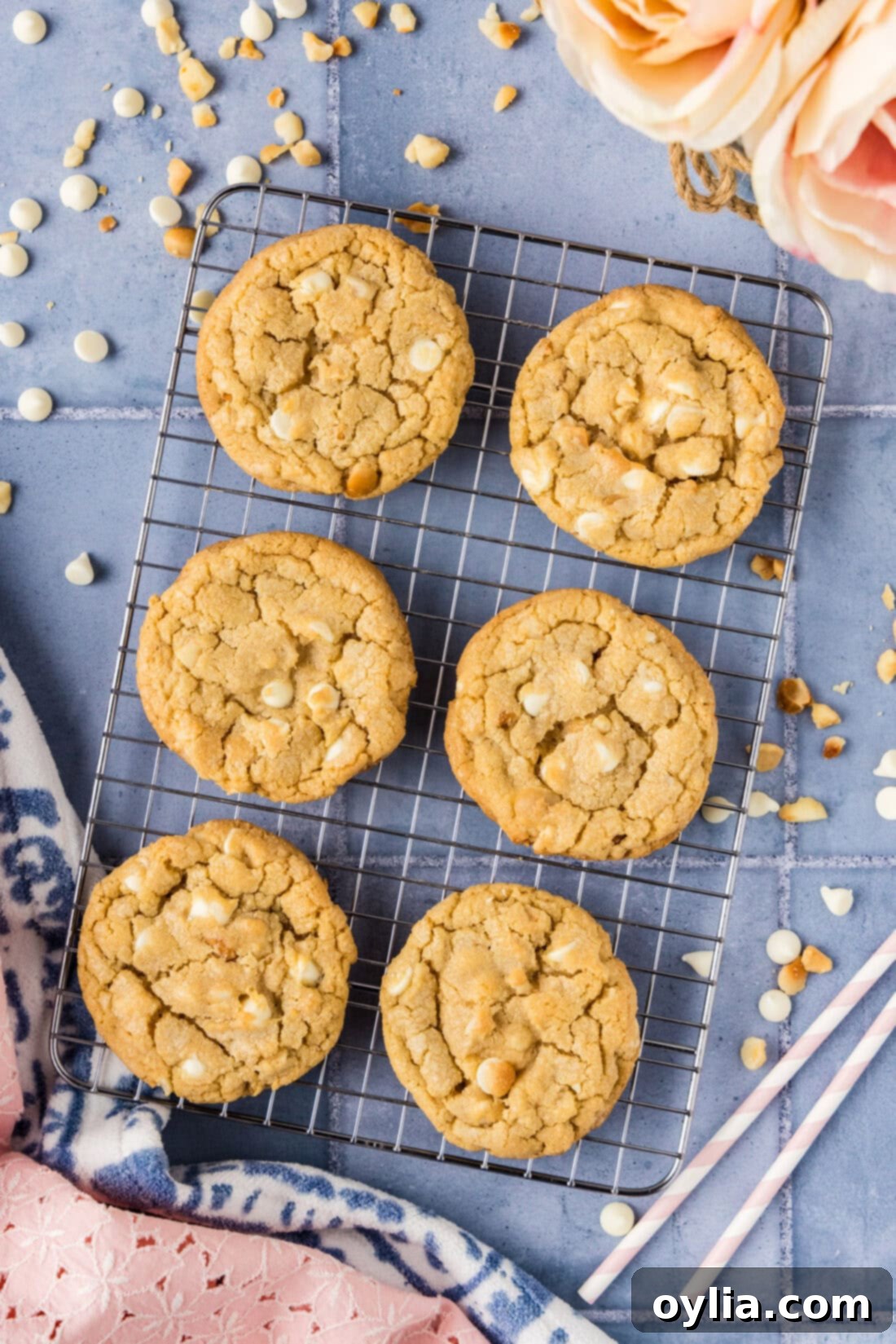 White Chocolate Macadamia Nut Cookies cooling on a wire rack, looking perfectly golden and delicious.