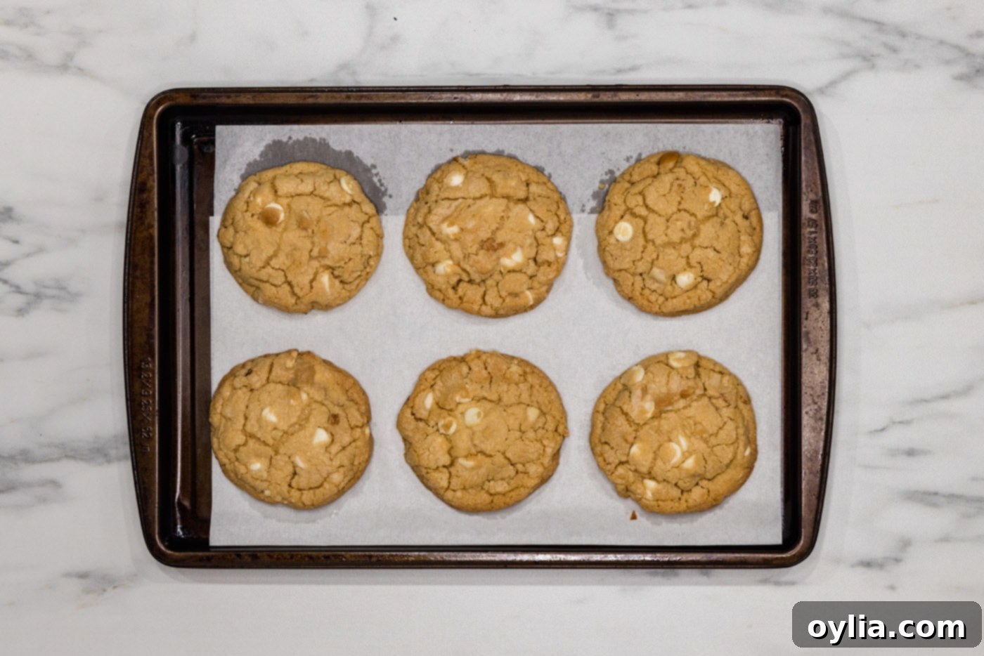 Baked white chocolate macadamia nut cookies cooling on a baking sheet, showing their golden-brown edges.