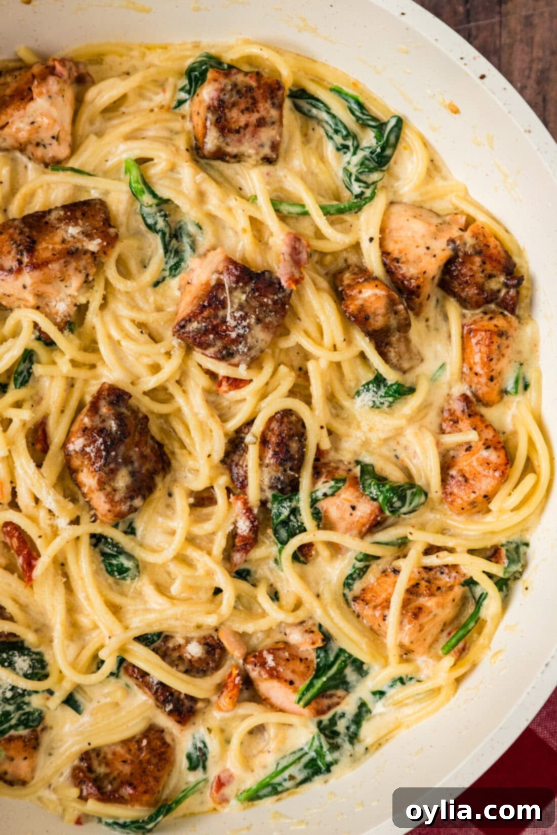 Close up photo of Salmon Pasta in a skillet