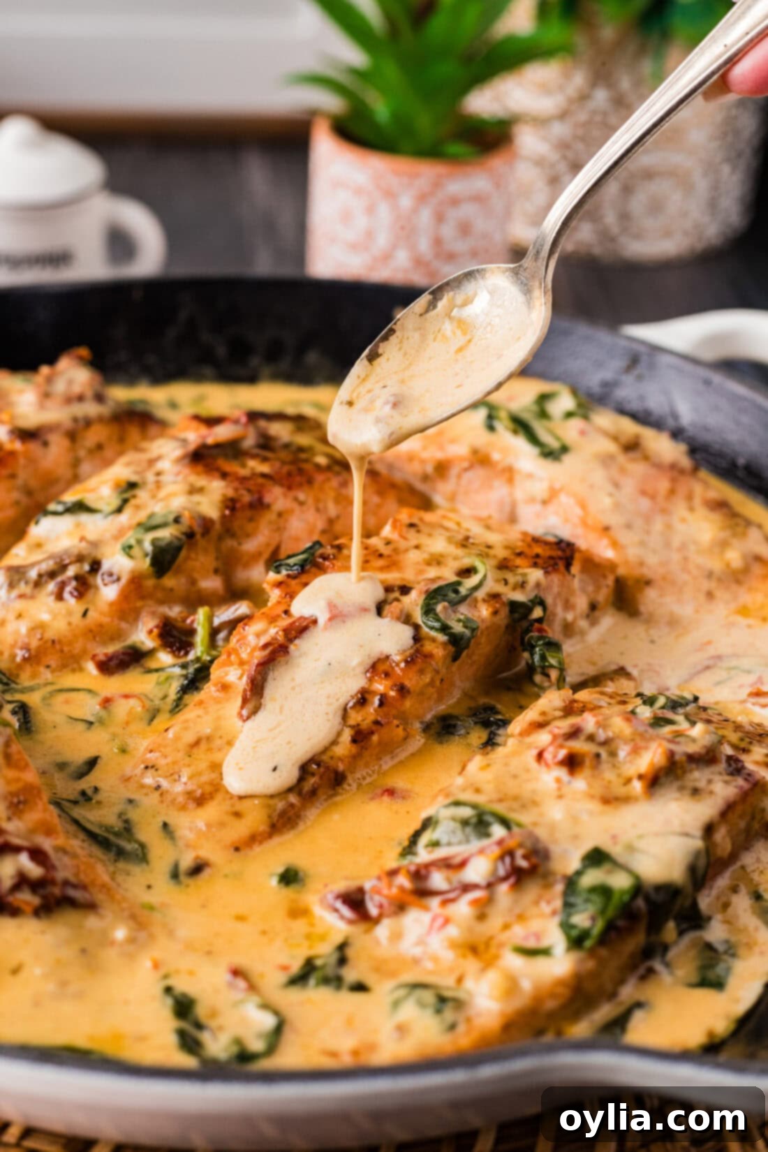 Velvety Salmon 2 Rich parmesan cream sauce being drizzled over perfectly cooked creamy salmon in a skillet with sun-dried tomatoes and spinach.